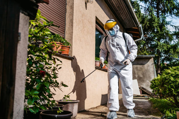 Best Local Pest Control Services  in Heritage Village, CT