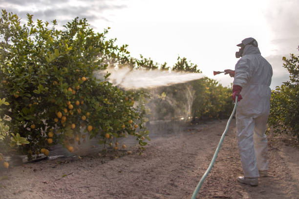 Best Commercial Pest Control Services  in Heritage Village, CT