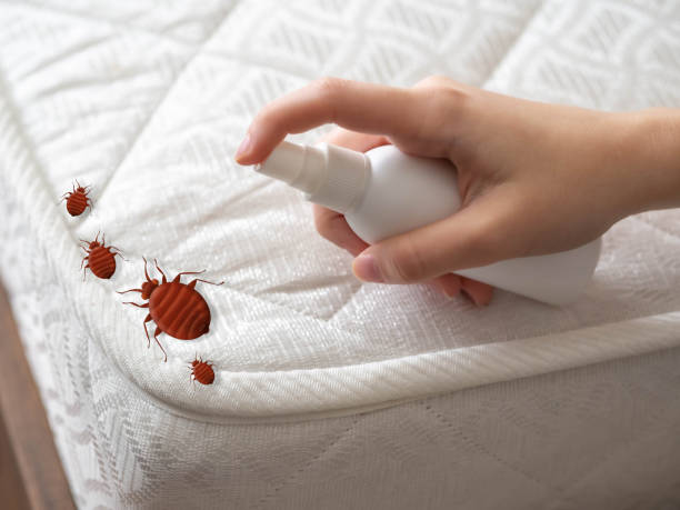 Best Best Pest Control Companies  in Heritage Village, CT